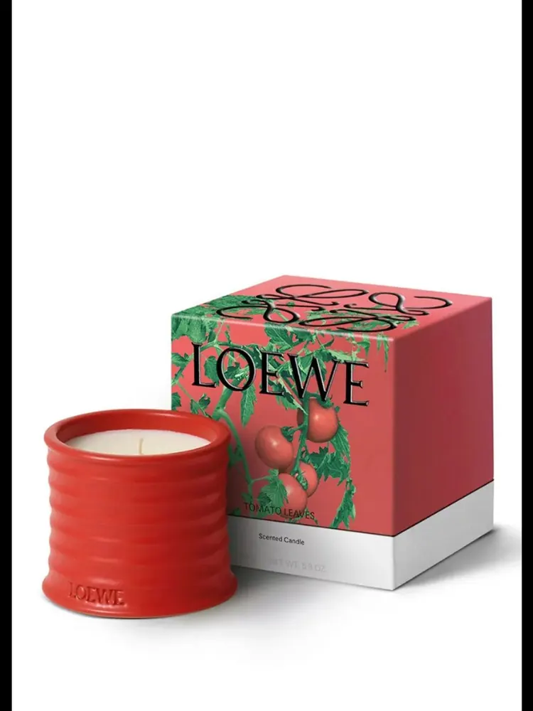 Loewe Tomato Leaves